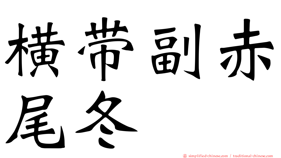 横带副赤尾冬