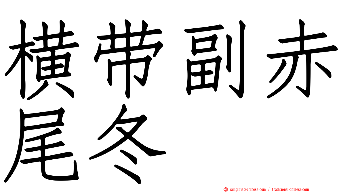 横带副赤尾冬