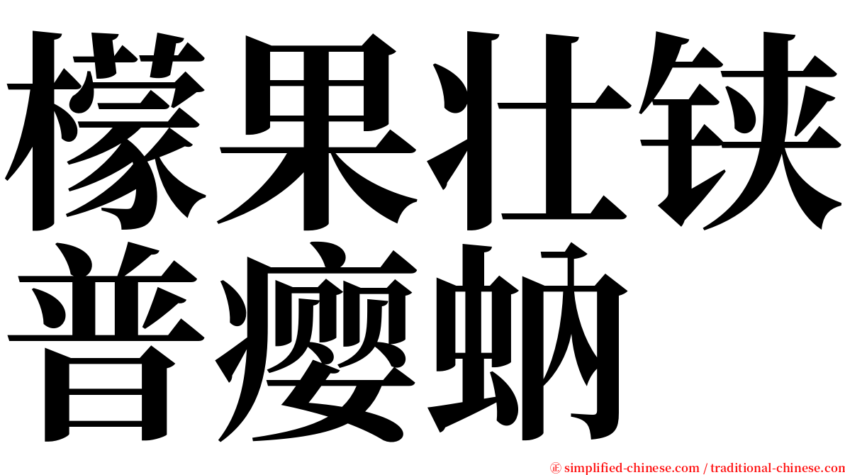 檬果壮铗普瘿蚋 serif font