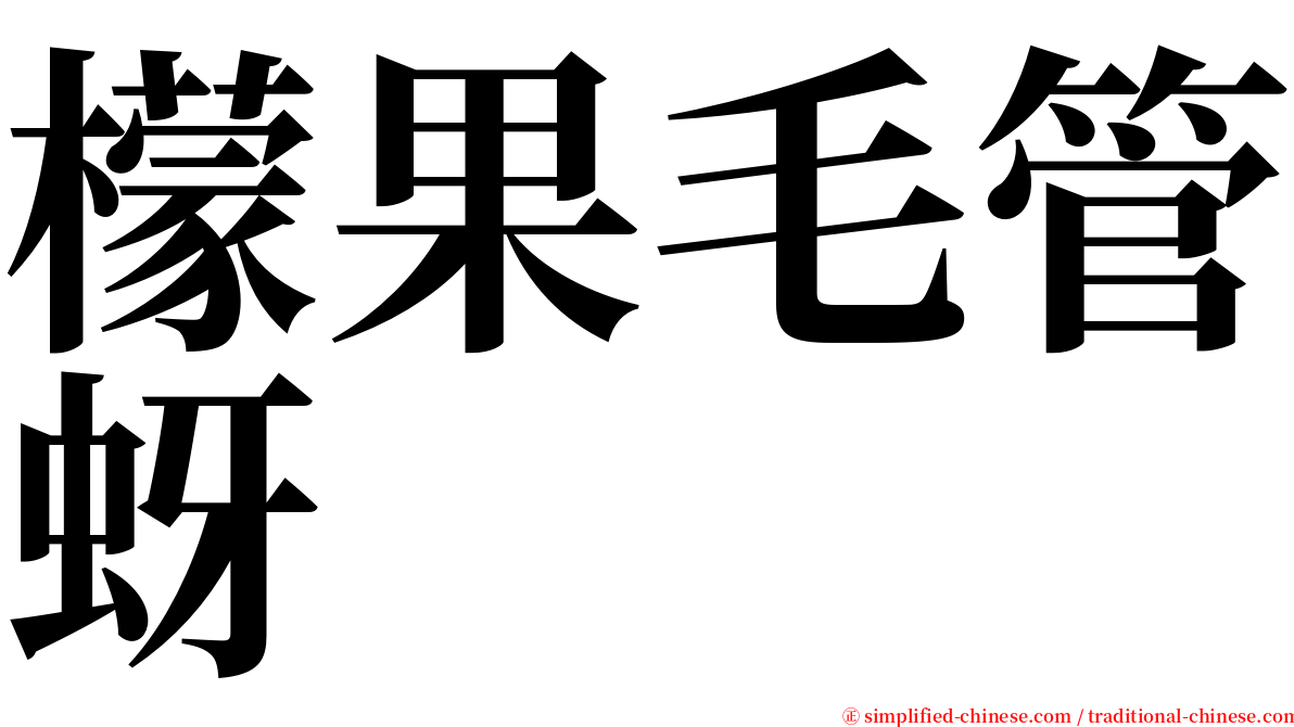 檬果毛管蚜 serif font