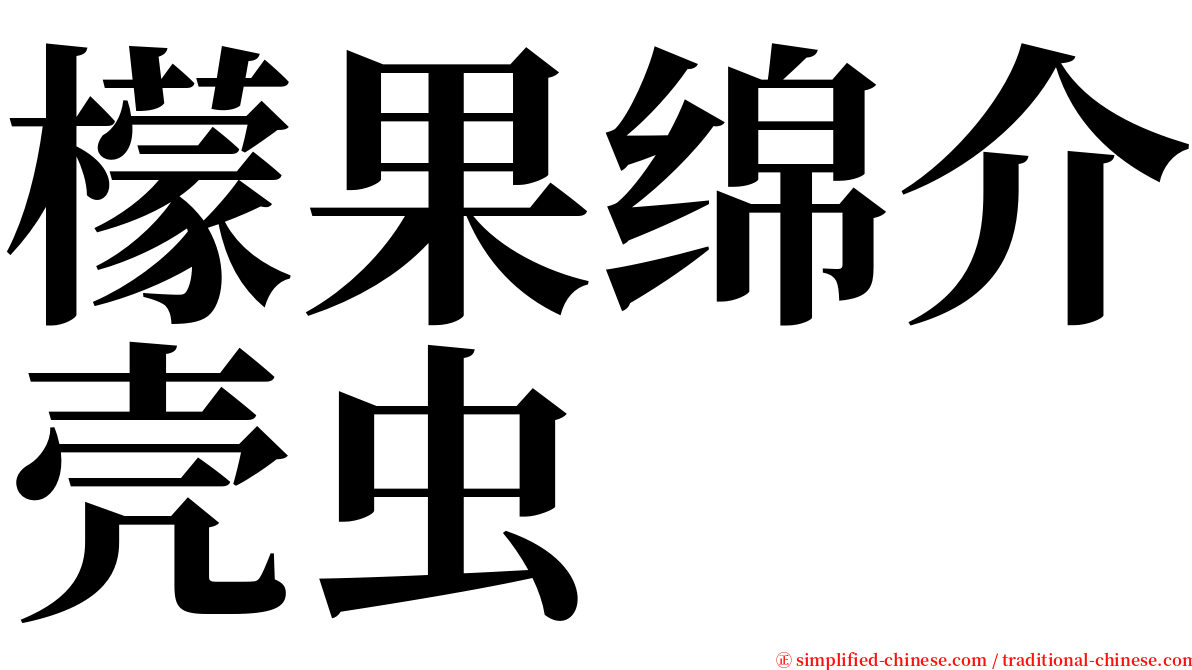 檬果绵介壳虫 serif font