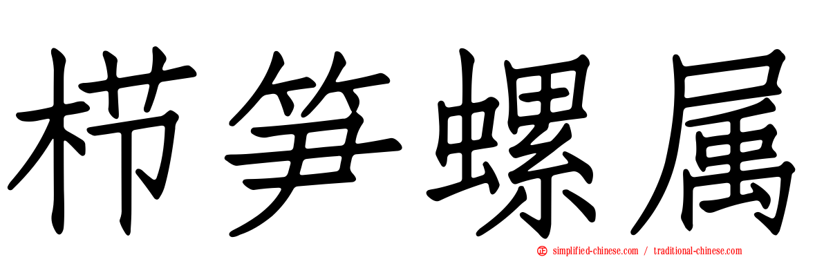 栉笋螺属