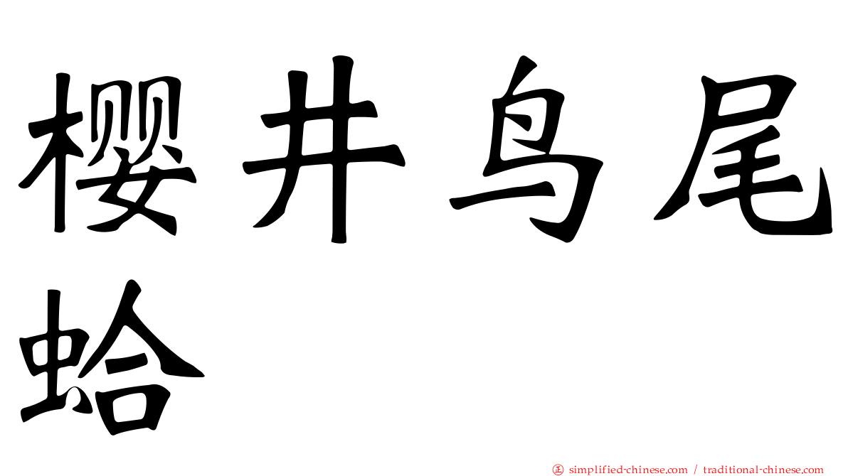 樱井鸟尾蛤