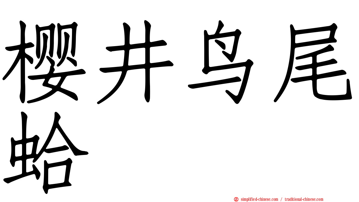 樱井鸟尾蛤