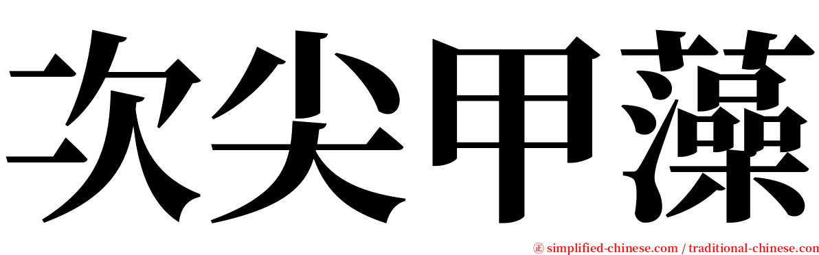 次尖甲藻 serif font