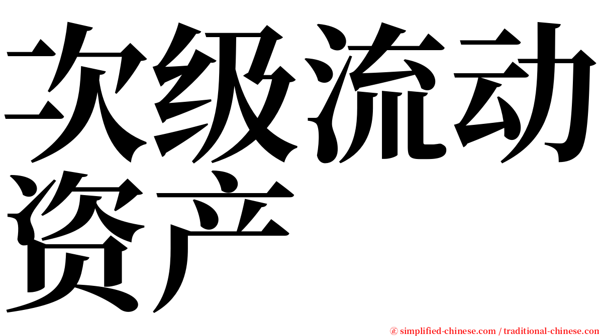 次级流动资产 serif font