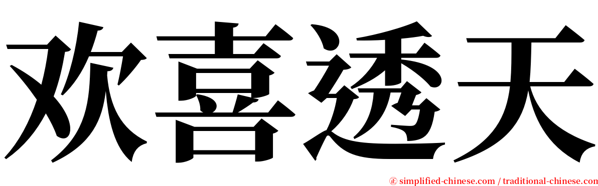 欢喜透天 serif font