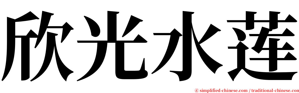 欣光水莲 serif font