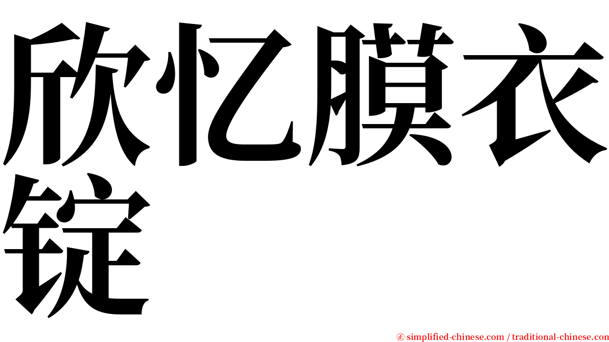 欣忆膜衣锭 serif font