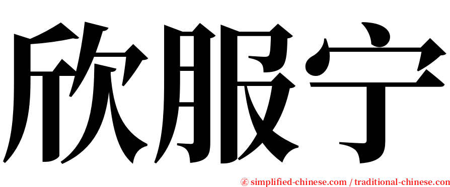 欣服宁 serif font