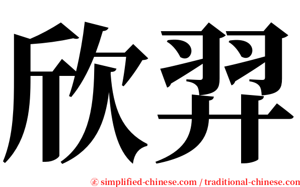 欣羿 serif font