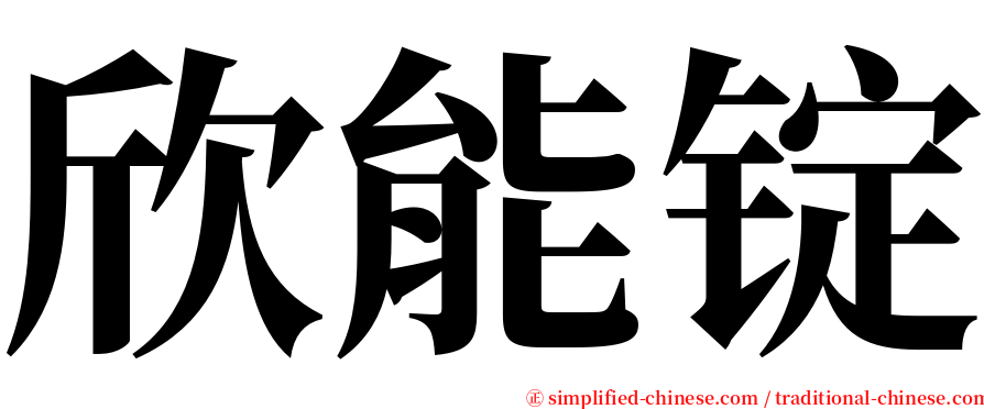 欣能锭 serif font