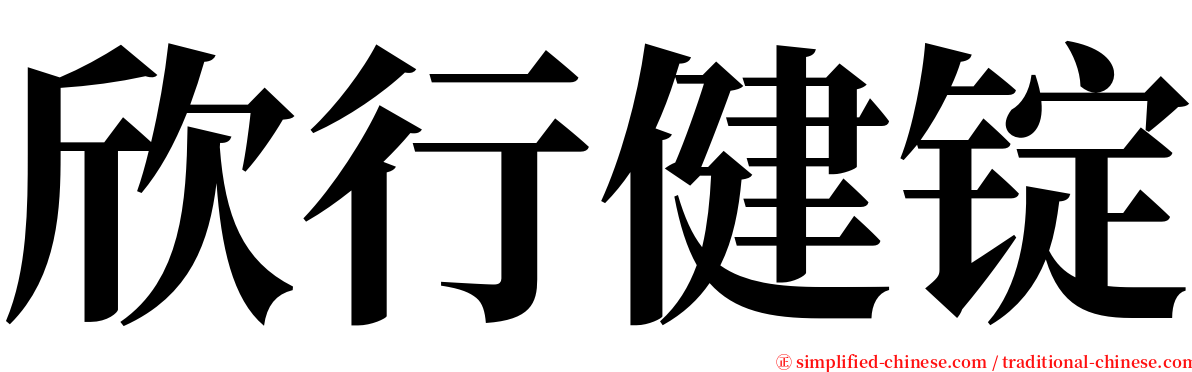 欣行健锭 serif font