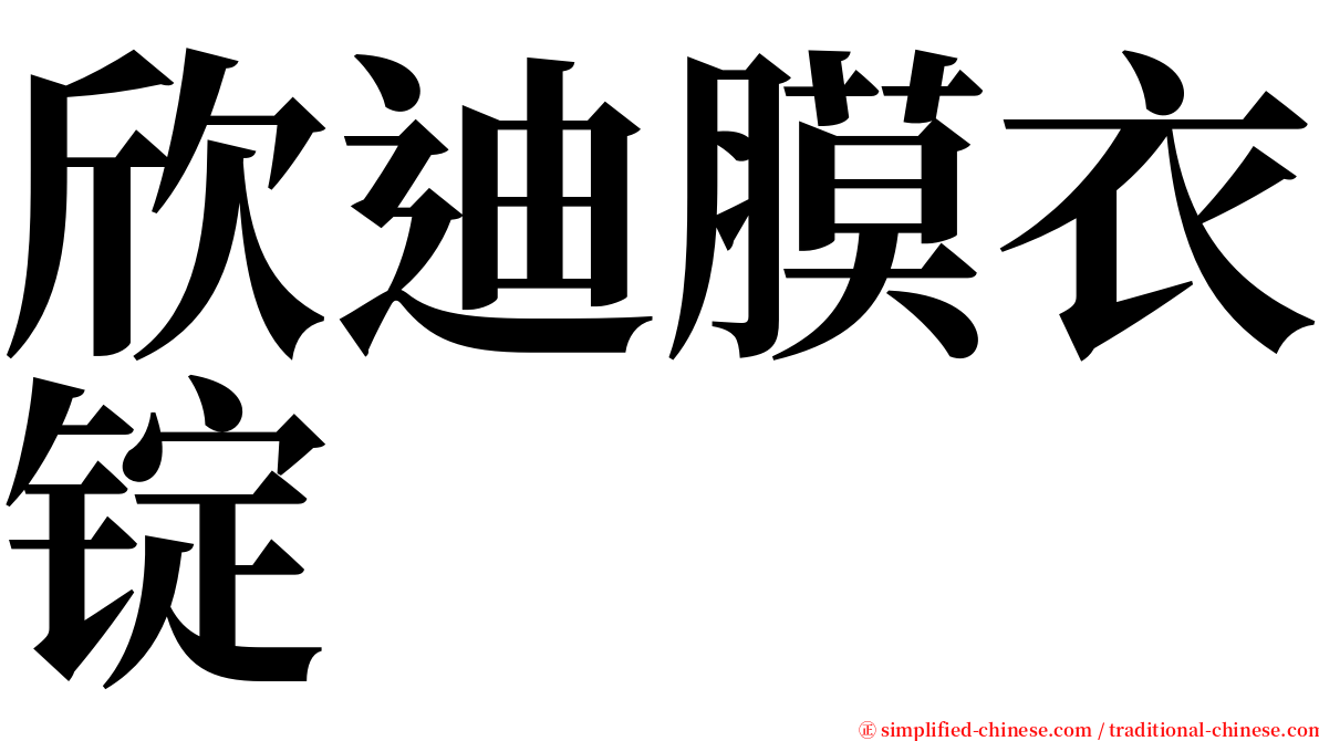 欣迪膜衣锭 serif font