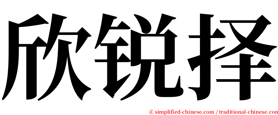 欣锐择 serif font