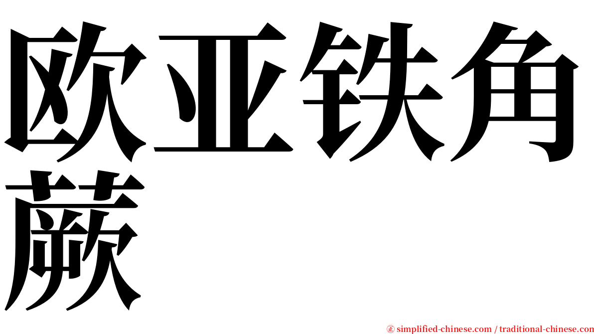 欧亚铁角蕨 serif font