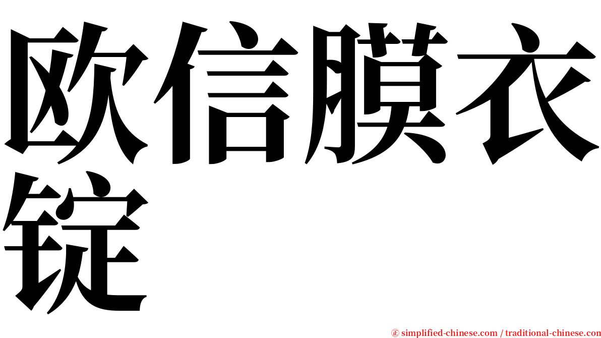 欧信膜衣锭 serif font