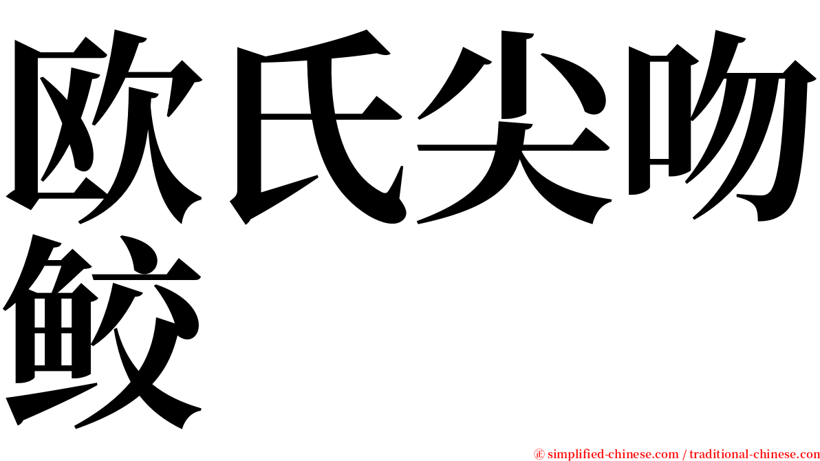 欧氏尖吻鲛 serif font