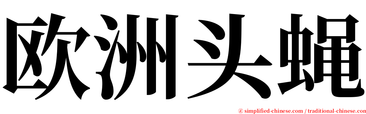 欧洲头蝇 serif font