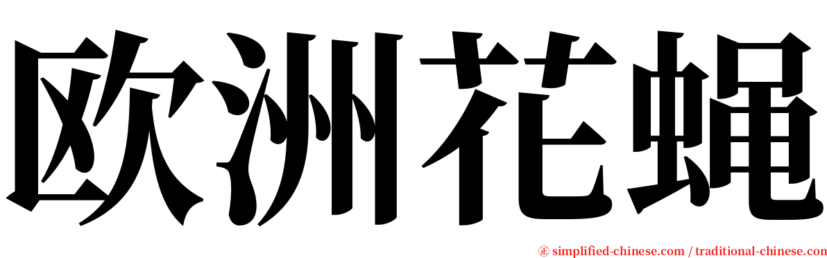 欧洲花蝇 serif font