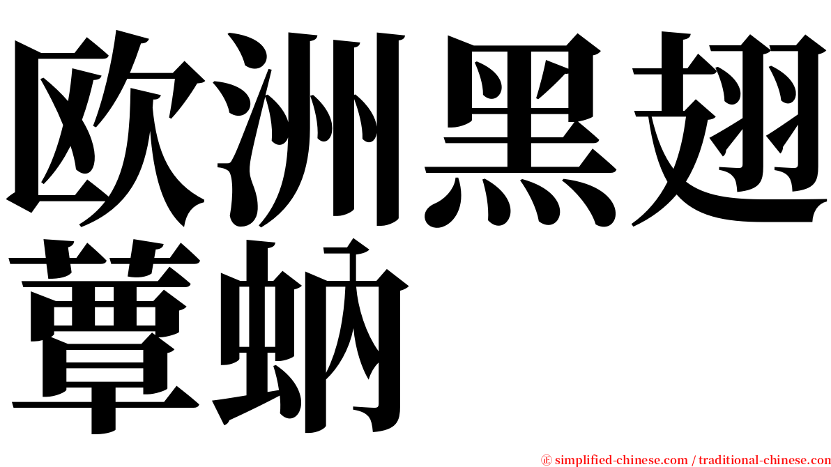 欧洲黑翅蕈蚋 serif font