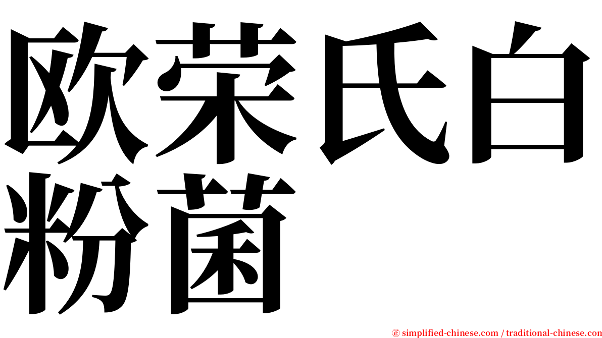 欧荣氏白粉菌 serif font