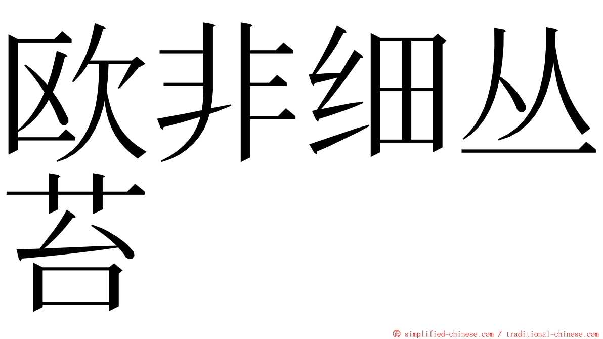 欧非细丛苔 ming font