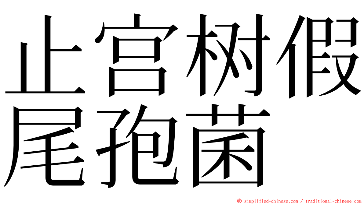 止宫树假尾孢菌 ming font