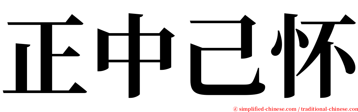 正中己怀 serif font