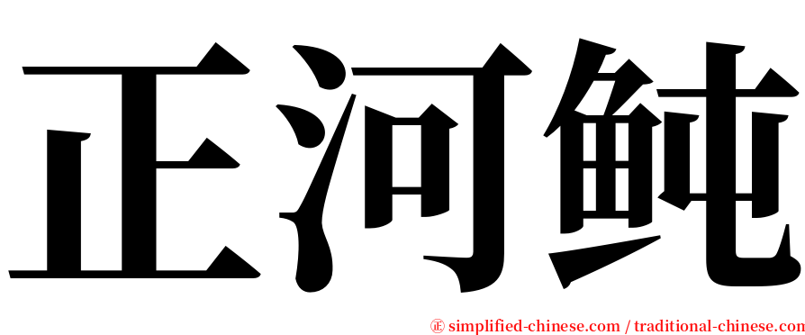 正河鲀 serif font