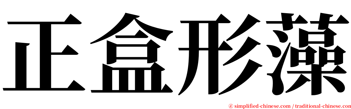 正盒形藻 serif font