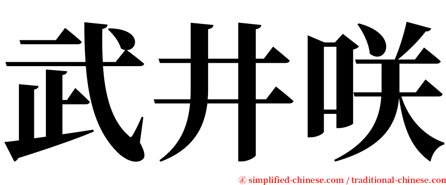 武井咲 serif font