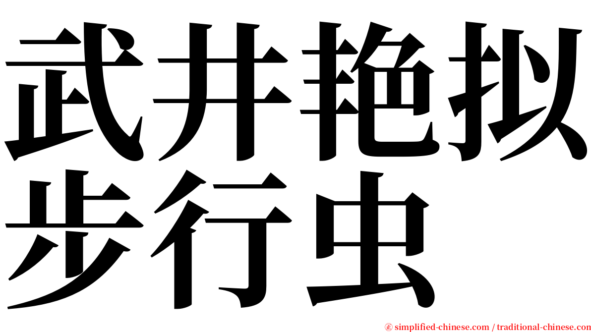 武井艳拟步行虫 serif font