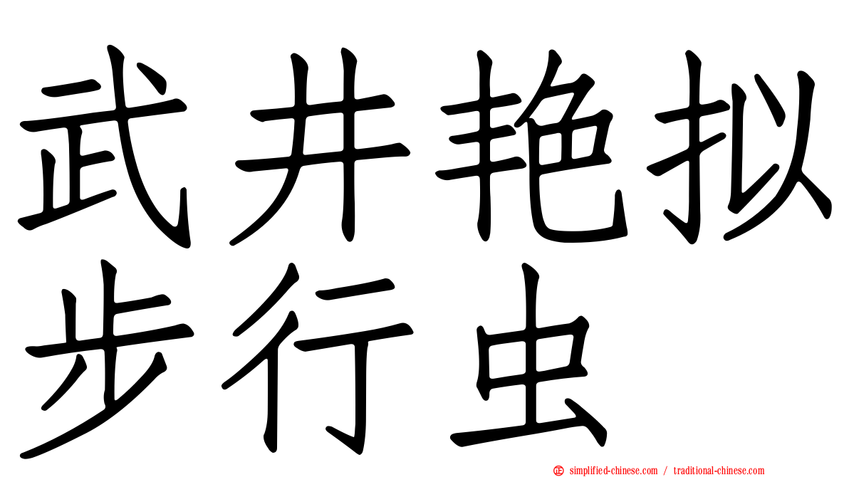 武井艳拟步行虫