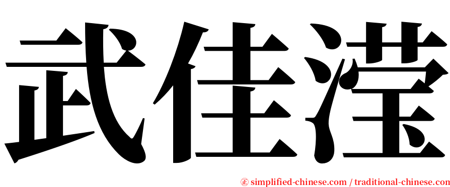 武佳滢 serif font