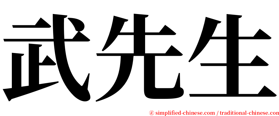 武先生 serif font