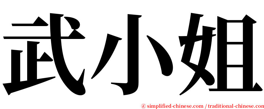 武小姐 serif font