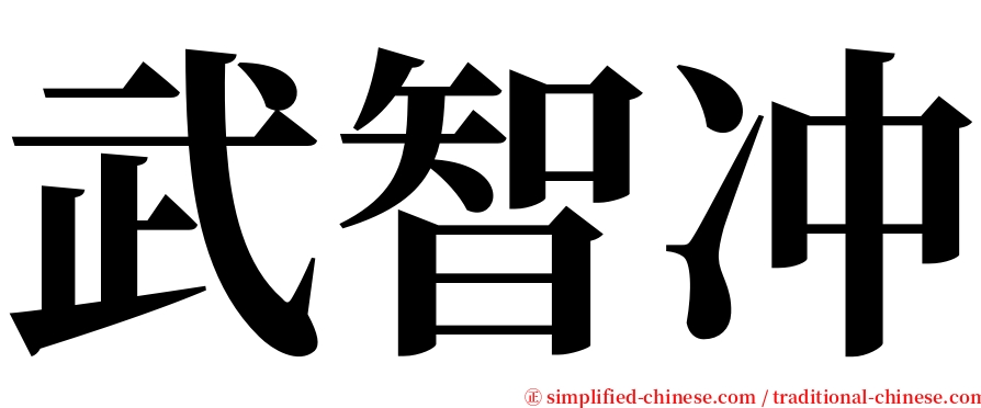 武智冲 serif font