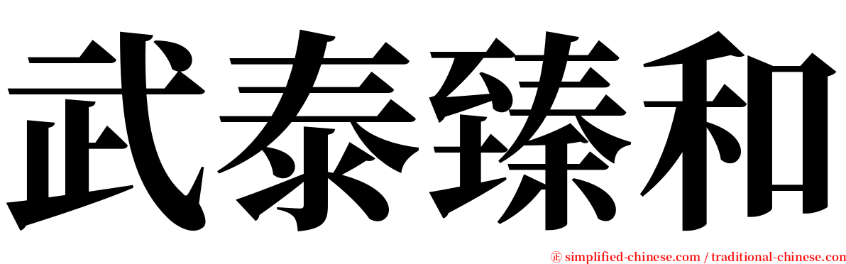 武泰臻和 serif font