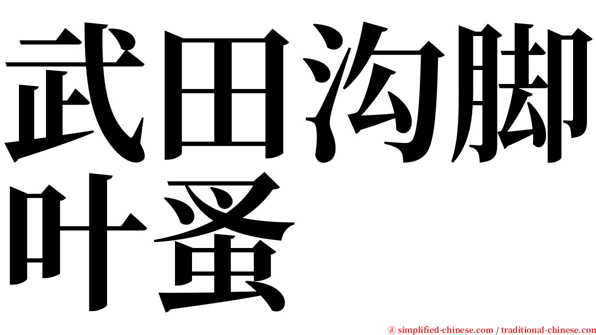 武田沟脚叶蚤 serif font