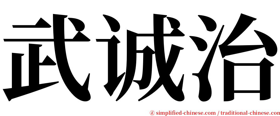 武诚治 serif font