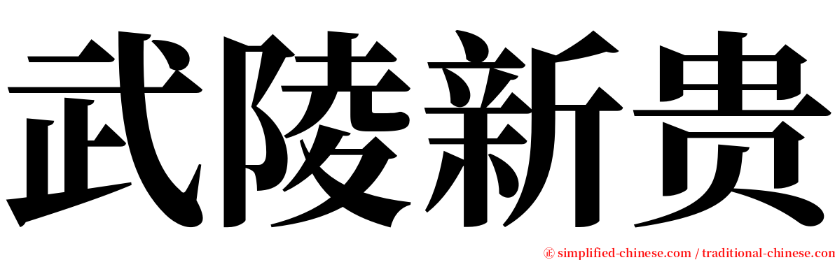 武陵新贵 serif font