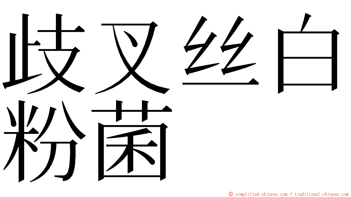歧叉丝白粉菌 ming font