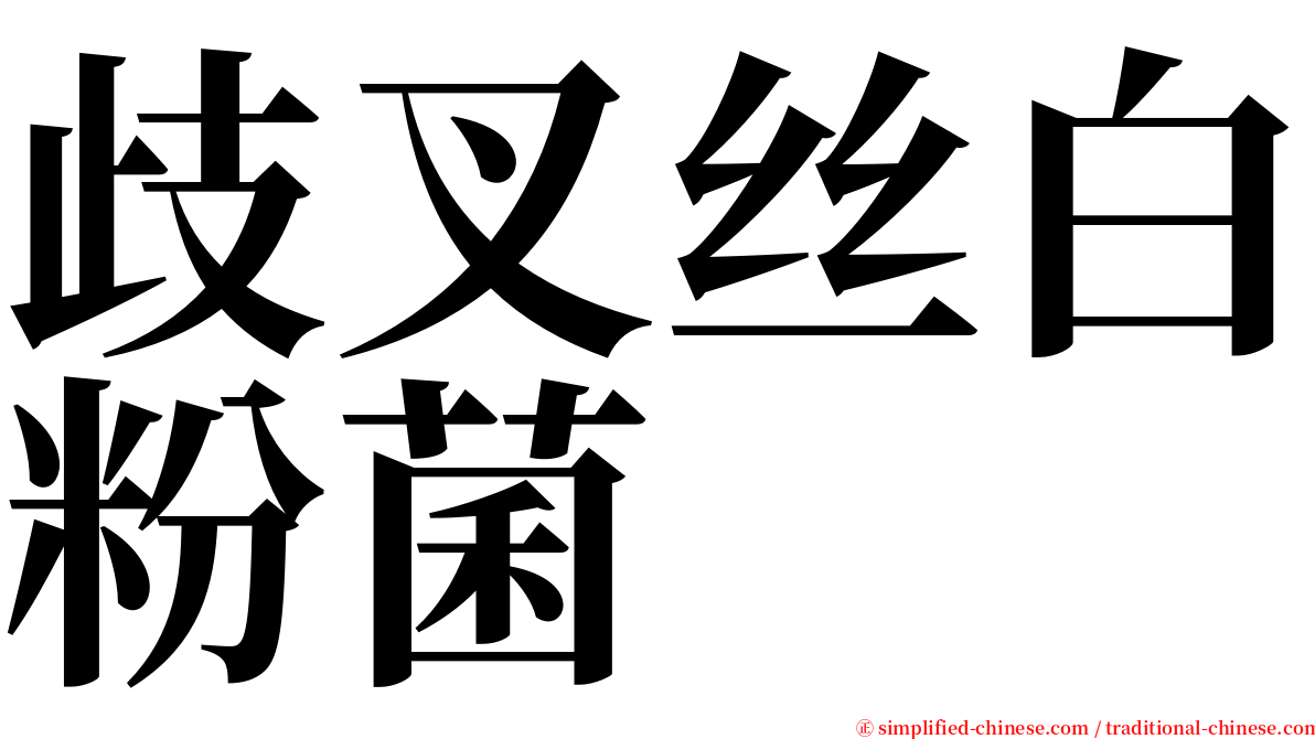 歧叉丝白粉菌 serif font