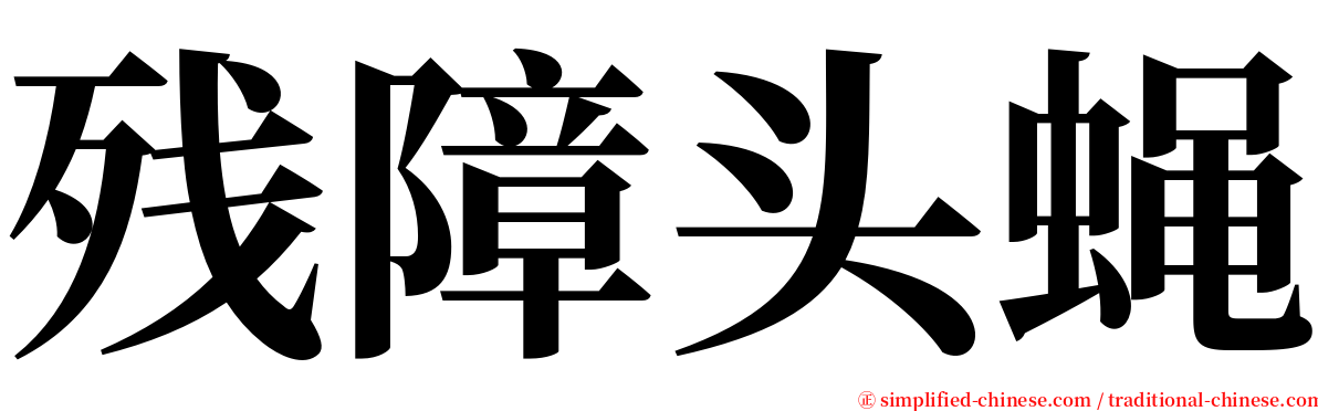 残障头蝇 serif font