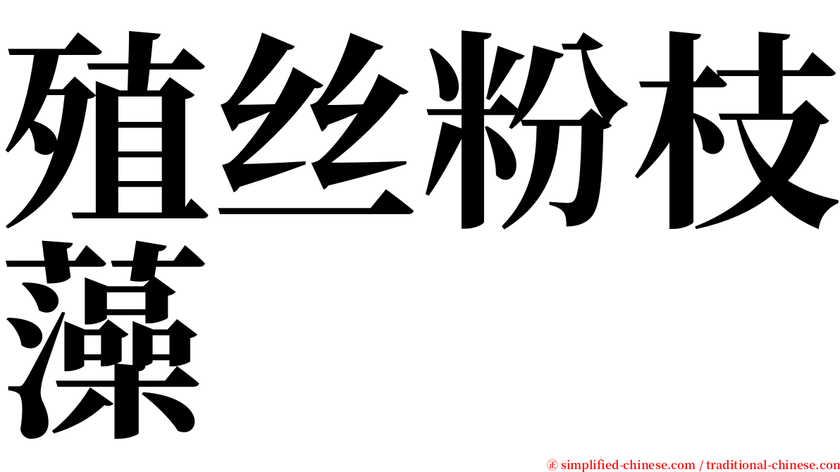 殖丝粉枝藻 serif font