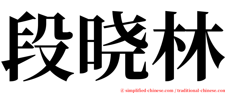 段晓林 serif font