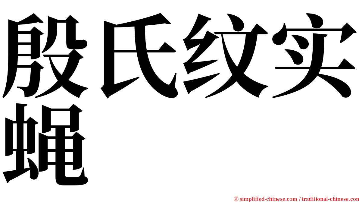 殷氏纹实蝇 serif font