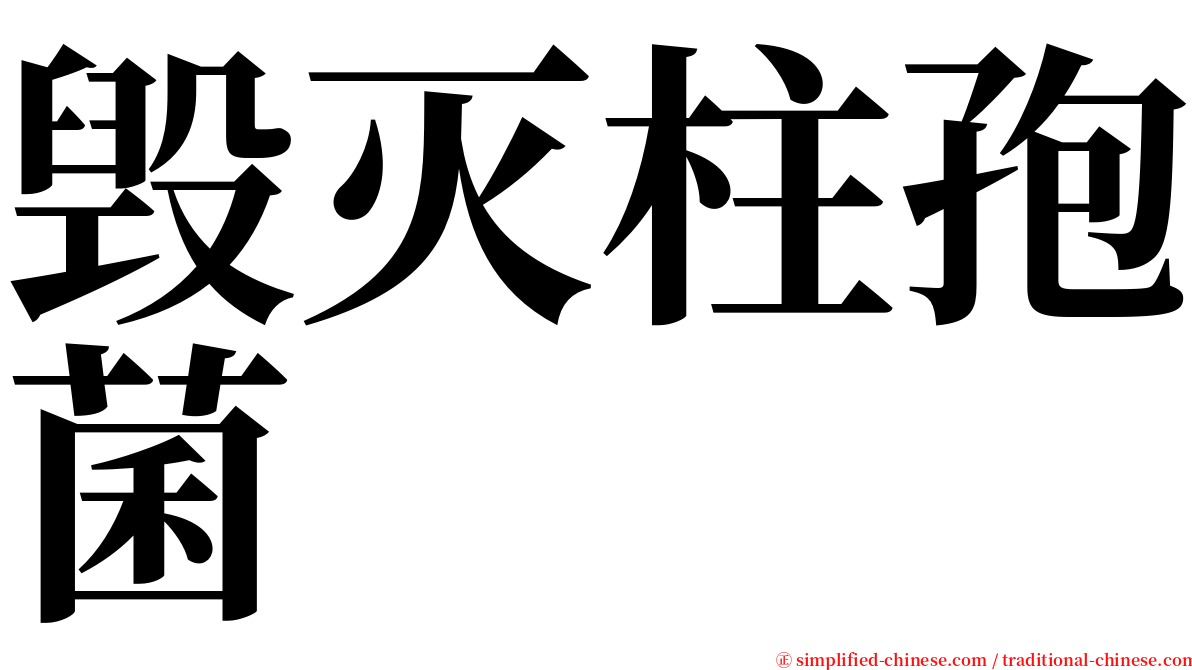 毁灭柱孢菌 serif font