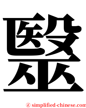 毉 serif font